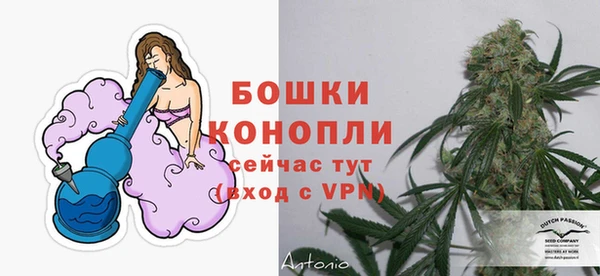 гашик Козловка