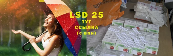 гашик Козловка