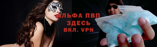 гашик Козловка