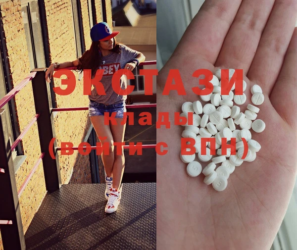 гашик Козловка