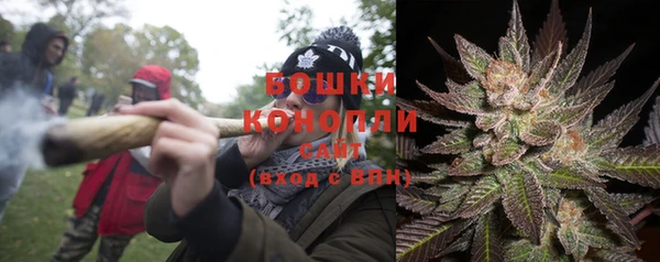 гашик Козловка