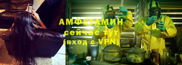 гашик Козловка