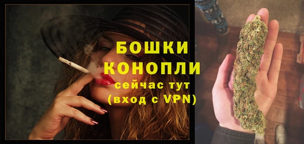 гашик Козловка
