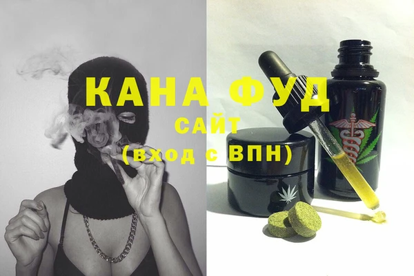 гашик Козловка